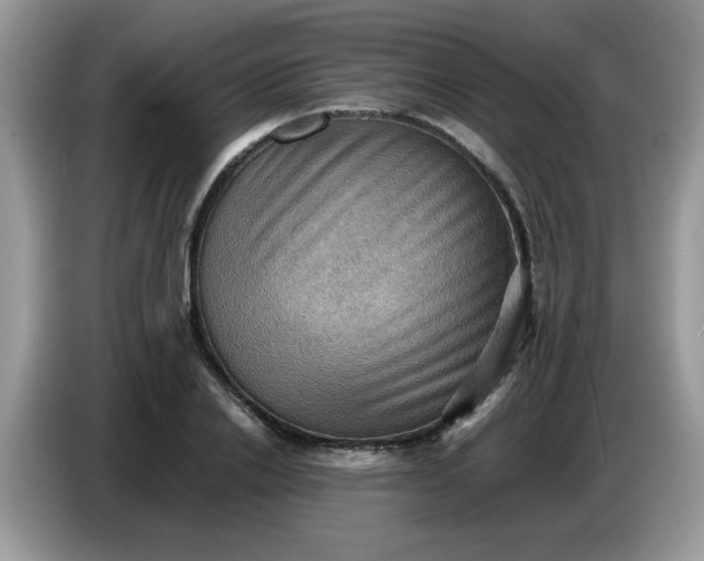 X0000086770838200704271748