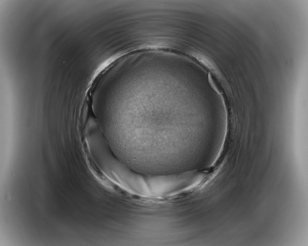 X0000086770842200704271748