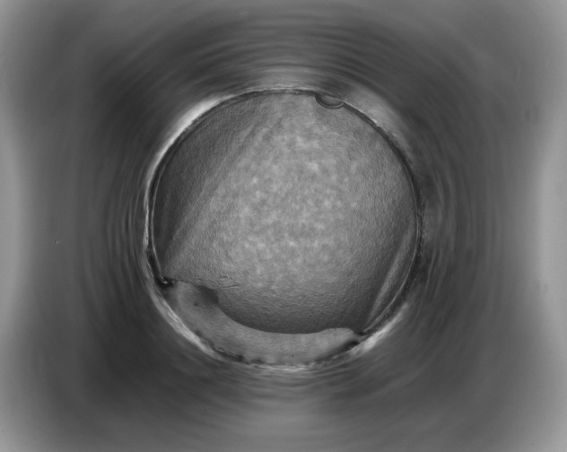 X0000086770844200704271748