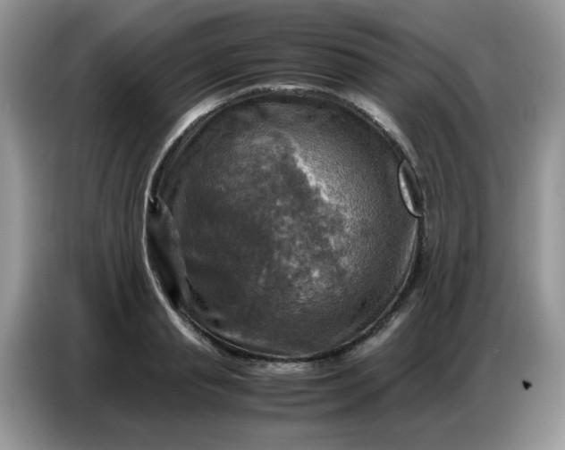 X0000086770845200704271748
