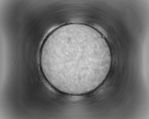 X0000086770848200704271748