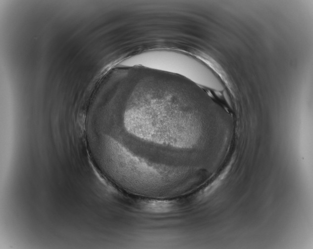 X0000086770849200704271748