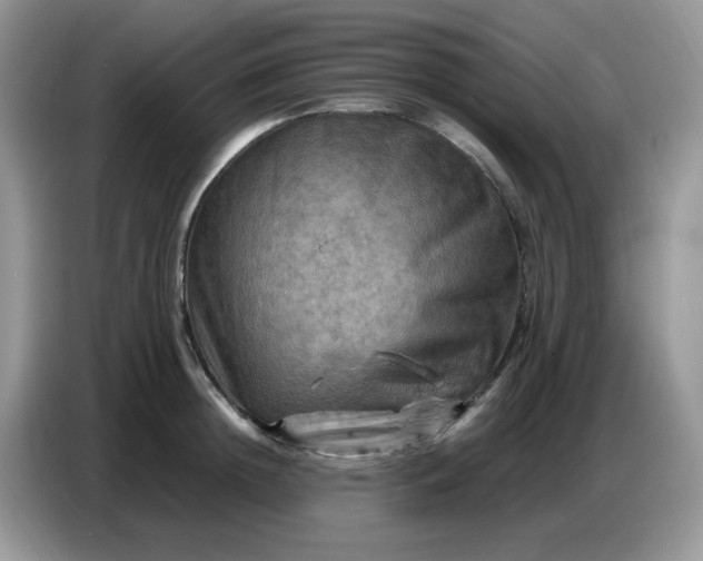 X0000086770852200704271748