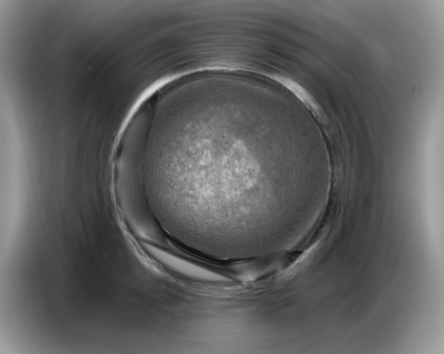 X0000086770854200704271749