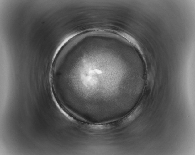 X0000086770855200704271749