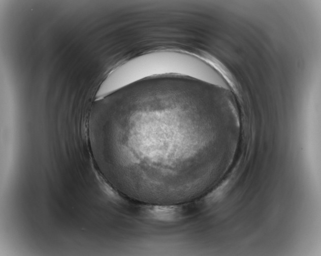 X0000086770857200704271749