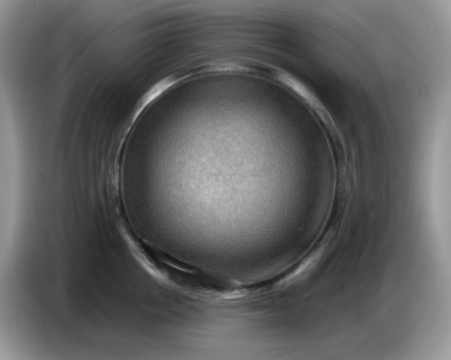 X0000086770858200704271749