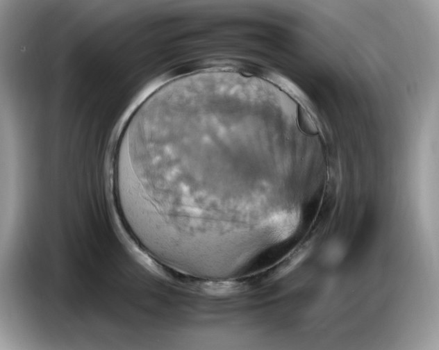 X0000086770859200704271749