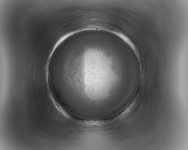 X0000086770862200704271749