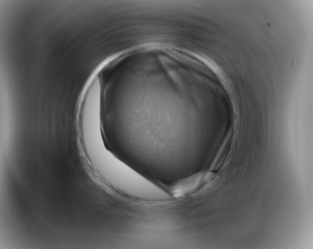 X0000086770864200704271749