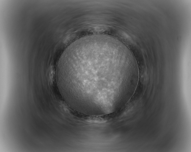 X0000086770866200704271748