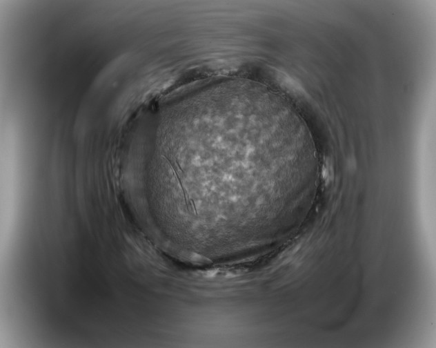 X0000086770867200704271748