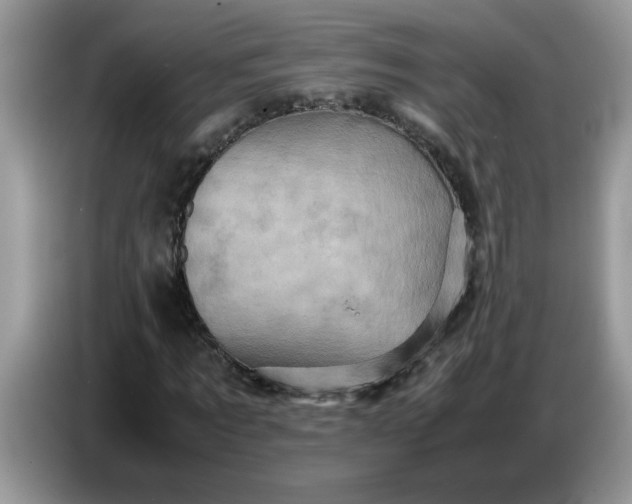 X0000086770869200704271748