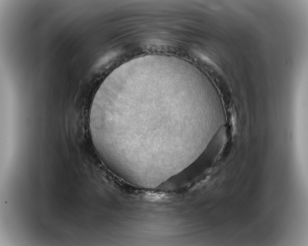 X0000086770870200704271748