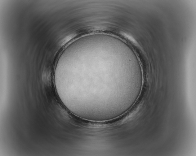 X0000086770873200704271748