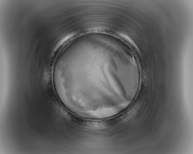 X0000086770874200704271748