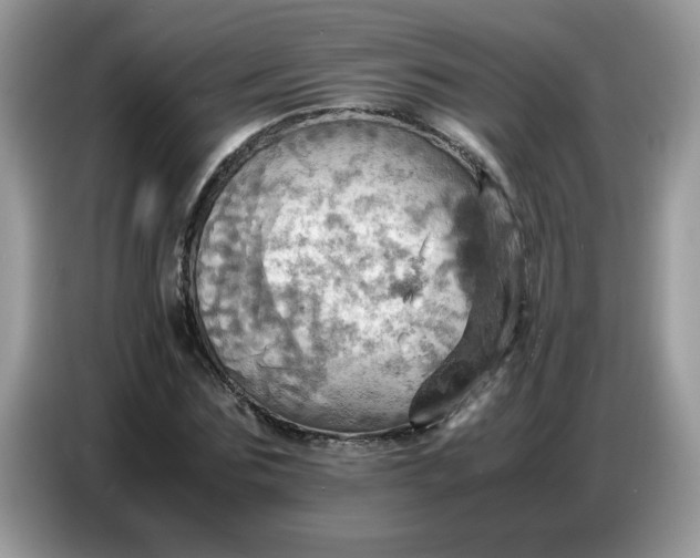 X0000086770875200704271748