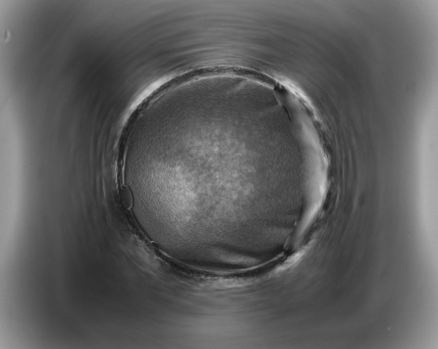 X0000086770877200704271748