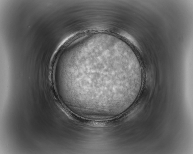 X0000086770878200704271748