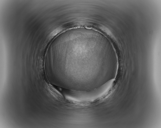 X0000086770881200704271748