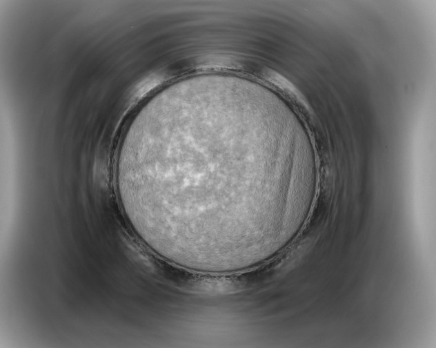 X0000086770882200704271748