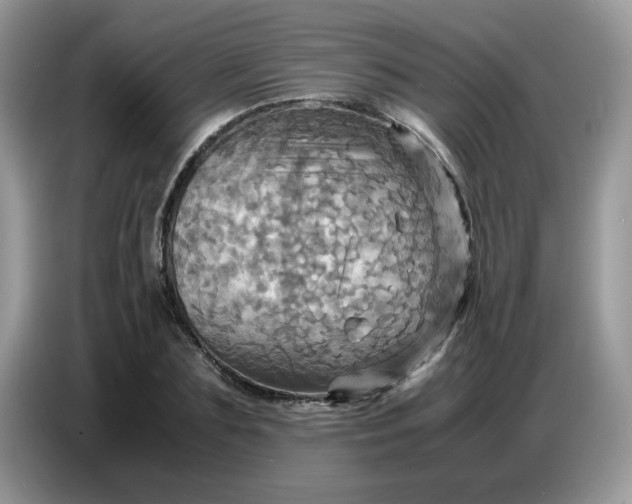 X0000086770883200704271748