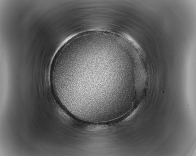 X0000086770884200704271748