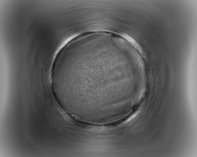 X0000086770885200704271748