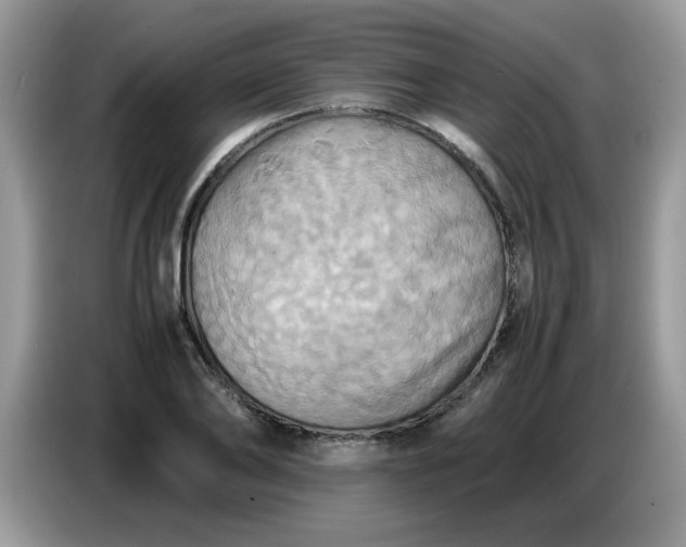 X0000086770886200704271748