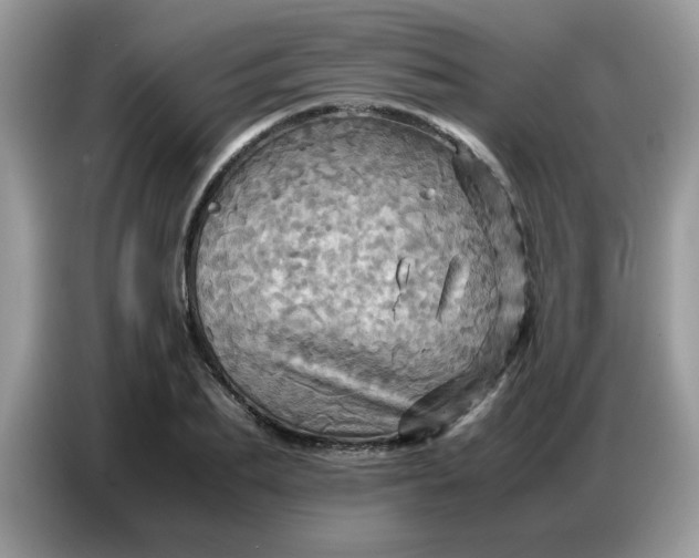 X0000086770887200704271748