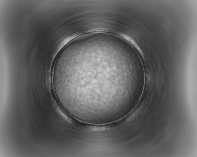 X0000086770890200704271748