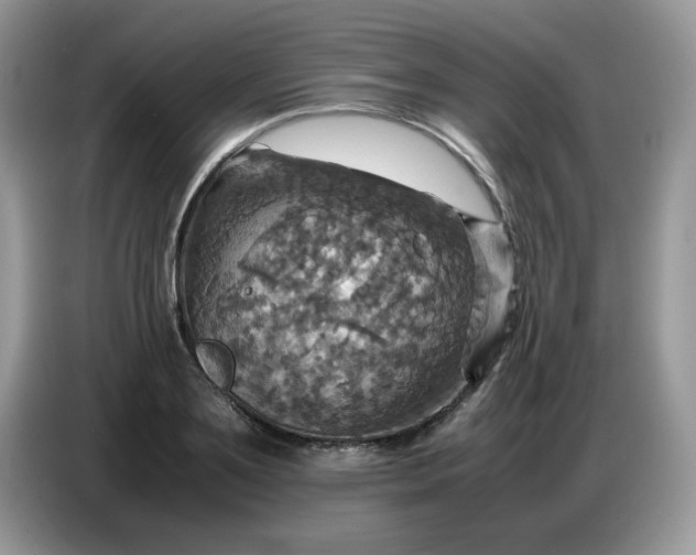 X0000086770891200704271748