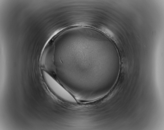 X0000086770892200704271748