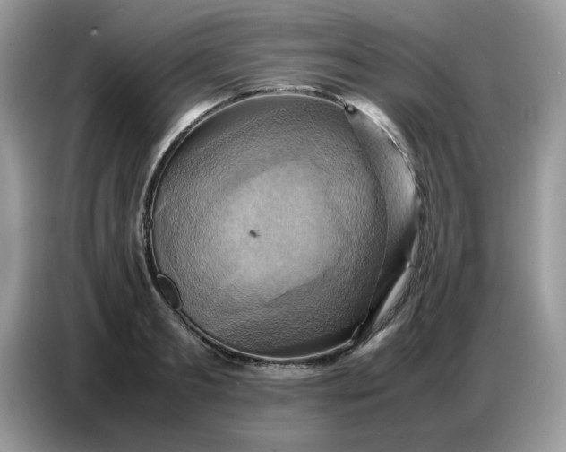 X0000086770893200704271748