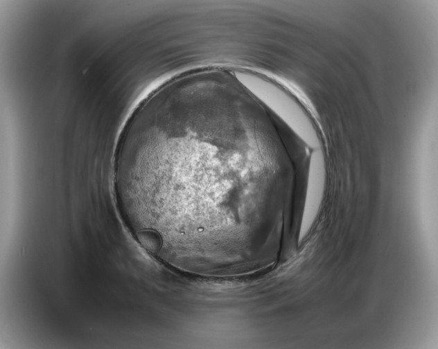 X0000086770895200704271748