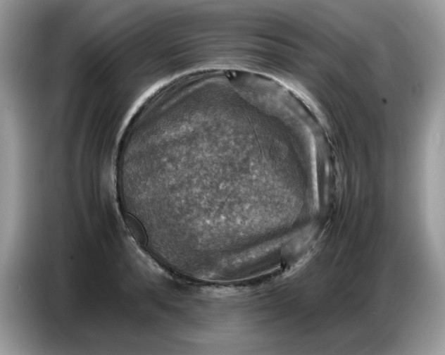 X0000086770896200704271748