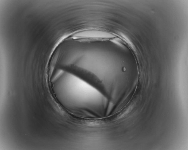 X0000086770899200704271748