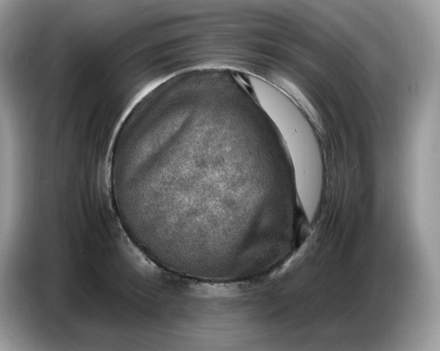 X0000086770900200704271748