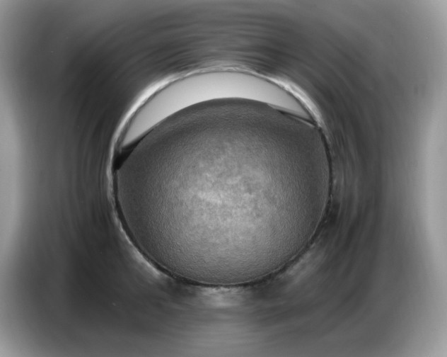 X0000086770902200704271748