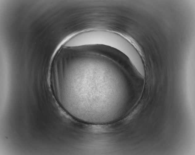 X0000086770904200704271748