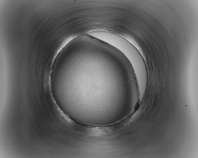 X0000086770906200704271747