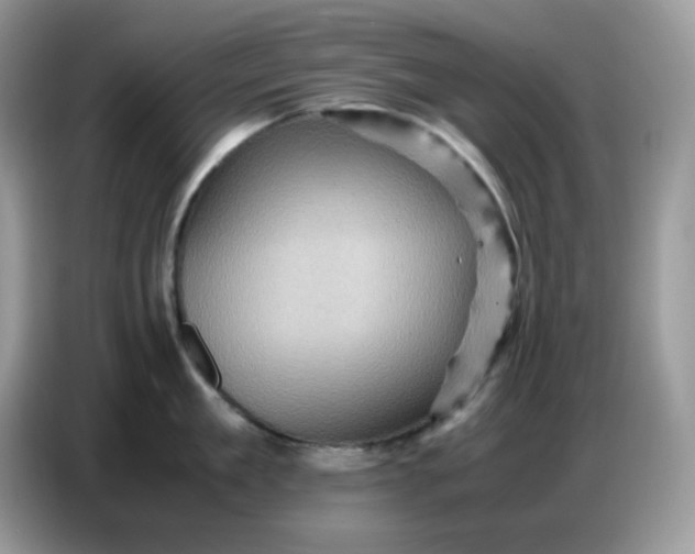 X0000086770909200704271747