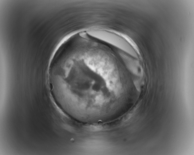 X0000086770911200704271747