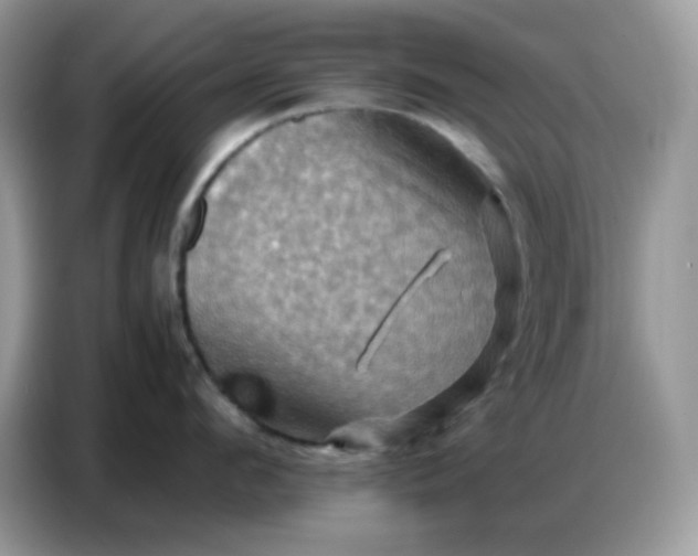 X0000086770912200704271747