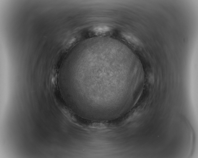 X0000086770914200704271747