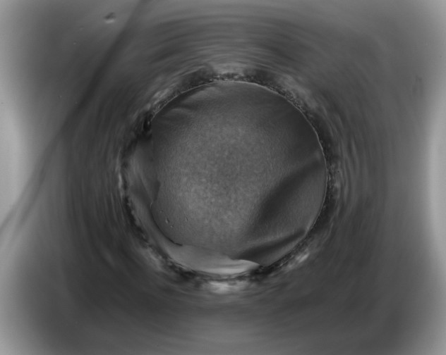 X0000086770916200704271747