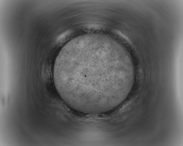 X0000086770918200704271747