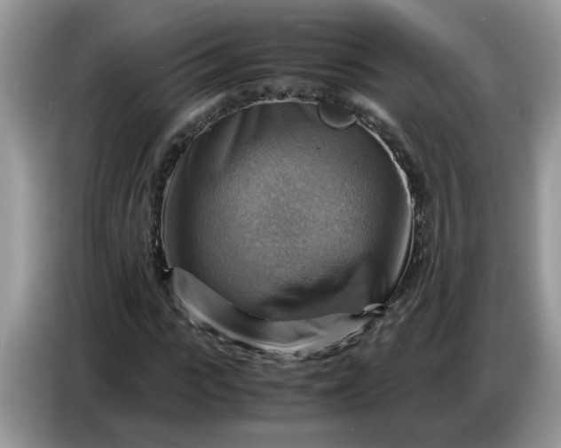 X0000086770919200704271747