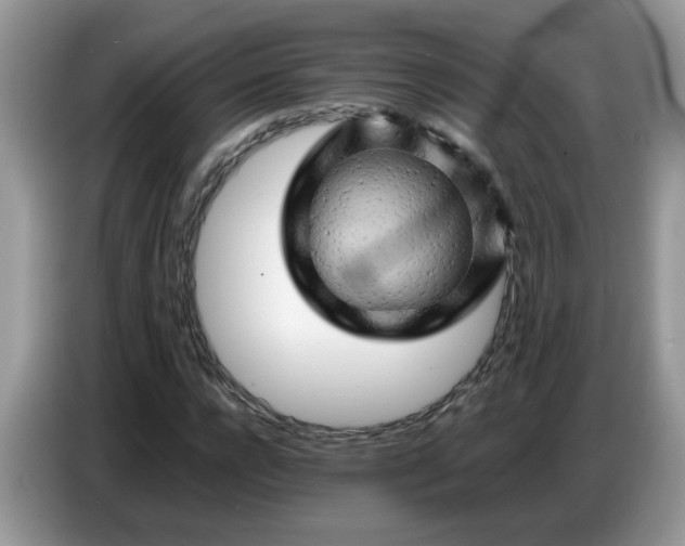 X0000086770920200704271747