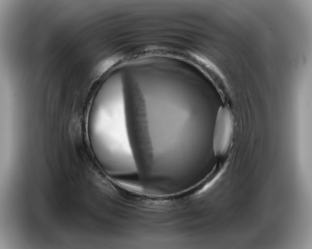 X0000086770921200704271747